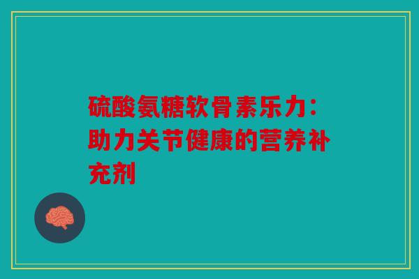 硫酸氨糖软骨素乐力：助力关节健康的营养补充剂