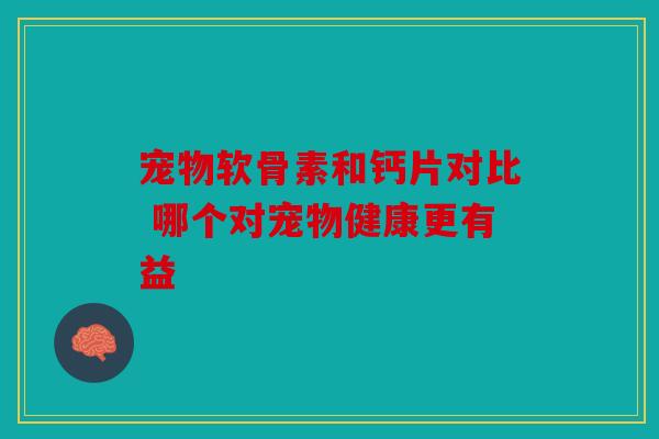 宠物软骨素和钙片对比 哪个对宠物健康更有益