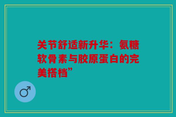关节舒适新升华：氨糖软骨素与胶原蛋白的完美搭档”