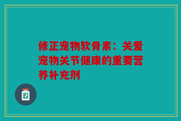 修正宠物软骨素：关爱宠物关节健康的重要营养补充剂