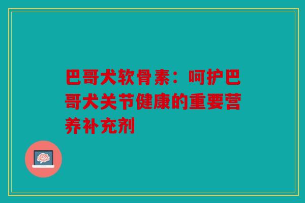 巴哥犬软骨素：呵护巴哥犬关节健康的重要营养补充剂