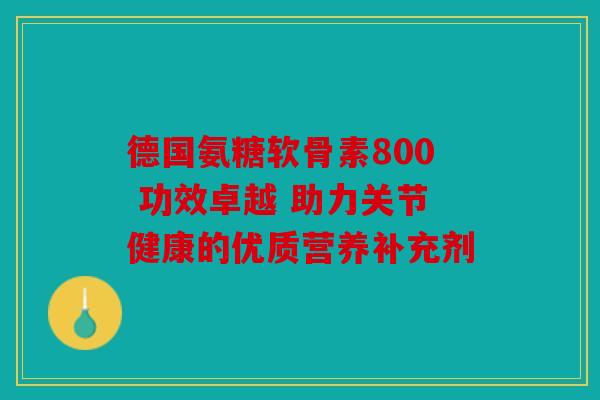 德国氨糖软骨素800 功效卓越 助力关节健康的优质营养补充剂