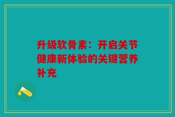 升级软骨素：开启关节健康新体验的关键营养补充