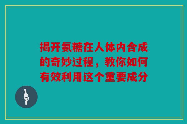 揭开氨糖在人体内合成的奇妙过程，教你如何有效利用这个重要成分