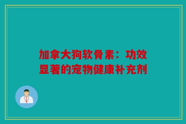 加拿大狗软骨素：功效显著的宠物健康补充剂