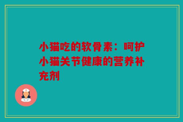 小猫吃的软骨素：呵护小猫关节健康的营养补充剂