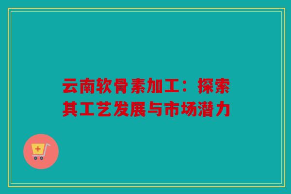 云南软骨素加工：探索其工艺发展与市场潜力