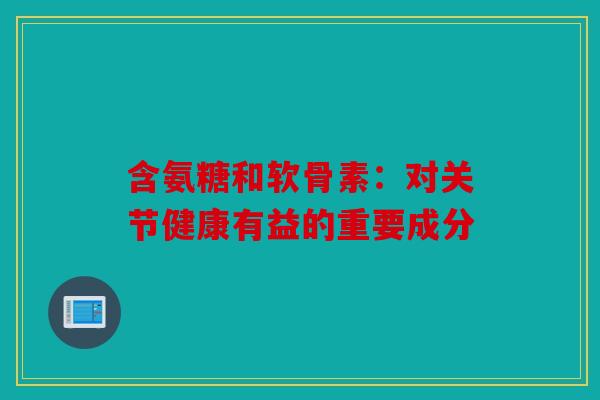 含氨糖和软骨素：对关节健康有益的重要成分