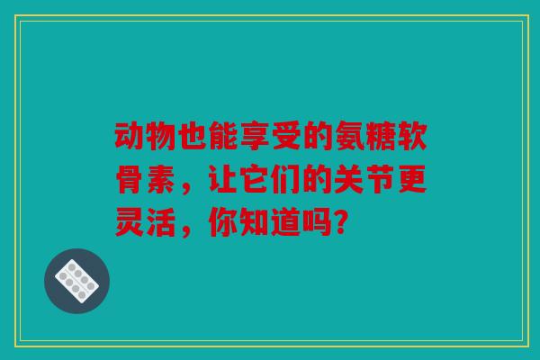 动物也能享受的氨糖软骨素，让它们的关节更灵活，你知道吗？