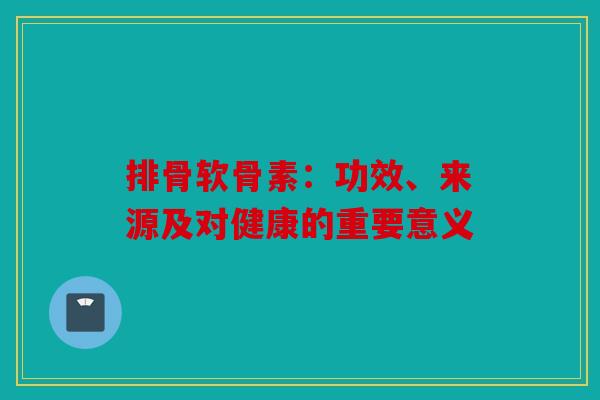 排骨软骨素：功效、来源及对健康的重要意义