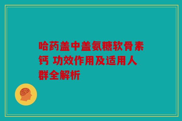 哈药盖中盖氨糖软骨素钙 功效作用及适用人群全解析