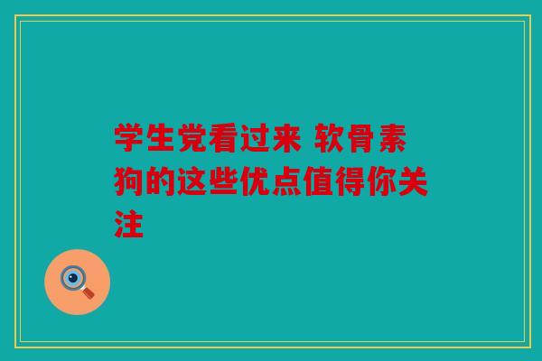 学生党看过来 软骨素狗的这些优点值得你关注