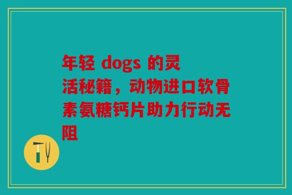 年轻 dogs 的灵活秘籍，动物进口软骨素氨糖钙片助力行动无阻