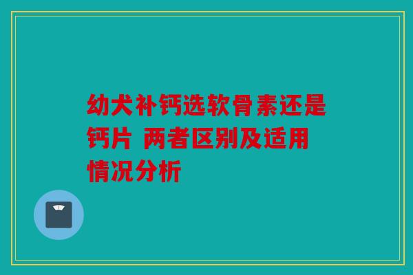 幼犬补钙选软骨素还是钙片 两者区别及适用情况分析