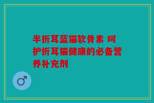 半折耳蓝猫软骨素 呵护折耳猫健康的必备营养补充剂