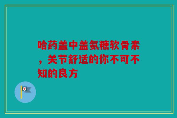哈药盖中盖氨糖软骨素，关节舒适的你不可不知的良方
