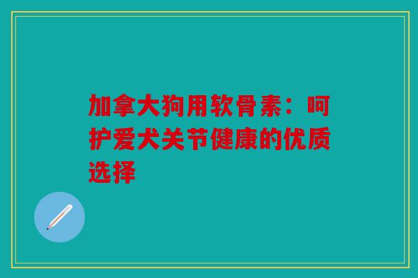加拿大狗用软骨素：呵护爱犬关节健康的优质选择