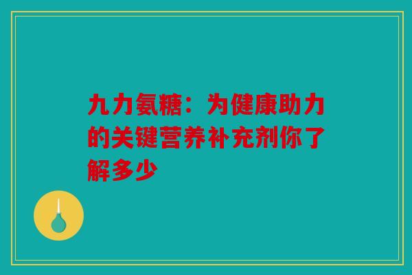 九力氨糖：为健康助力的关键营养补充剂你了解多少