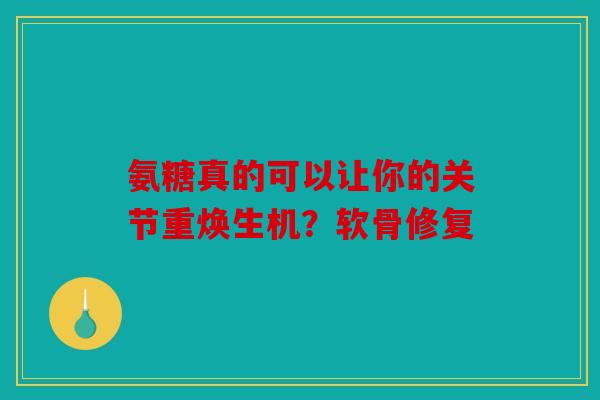 氨糖真的可以让你的关节重焕生机？软骨修复