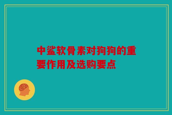 中鲨软骨素对狗狗的重要作用及选购要点