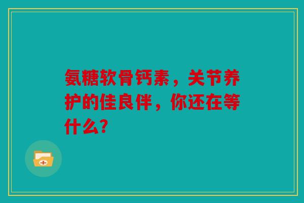 氨糖软骨钙素，关节养护的佳良伴，你还在等什么？