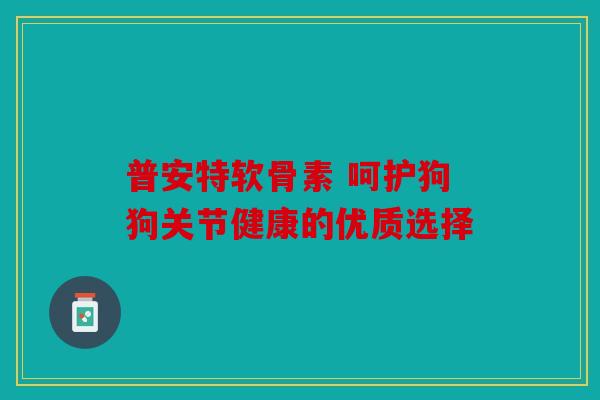 普安特软骨素 呵护狗狗关节健康的优质选择