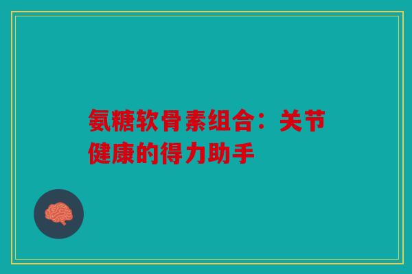 氨糖软骨素组合：关节健康的得力助手
