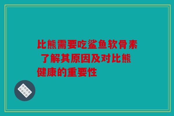比熊需要吃鲨鱼软骨素 了解其原因及对比熊健康的重要性