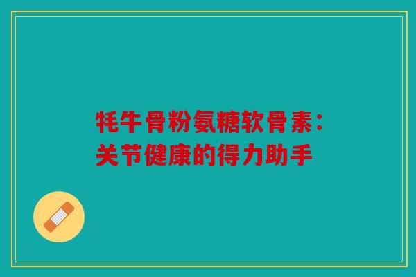 牦牛骨粉氨糖软骨素：关节健康的得力助手