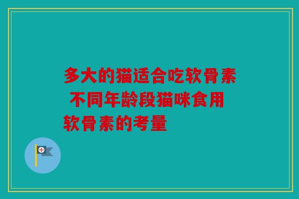 多大的猫适合吃软骨素 不同年龄段猫咪食用软骨素的考量