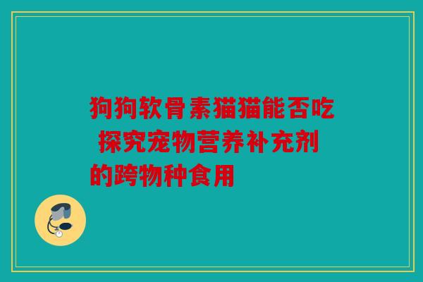 狗狗软骨素猫猫能否吃 探究宠物营养补充剂的跨物种食用