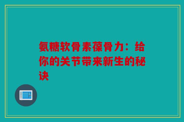 氨糖软骨素葆骨力：给你的关节带来新生的秘诀