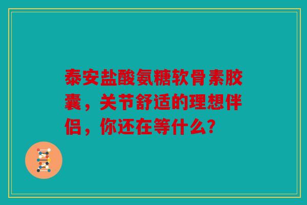 泰安盐酸氨糖软骨素胶囊，关节舒适的理想伴侣，你还在等什么？