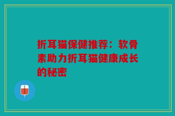 折耳猫保健推荐：软骨素助力折耳猫健康成长的秘密