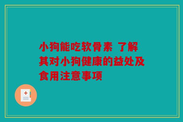 小狗能吃软骨素 了解其对小狗健康的益处及食用注意事项