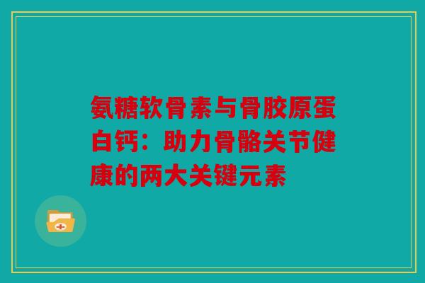 氨糖软骨素与骨胶原蛋白钙：助力骨骼关节健康的两大关键元素
