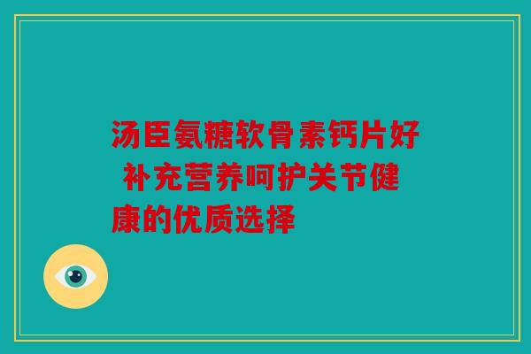 汤臣氨糖软骨素钙片好 补充营养呵护关节健康的优质选择