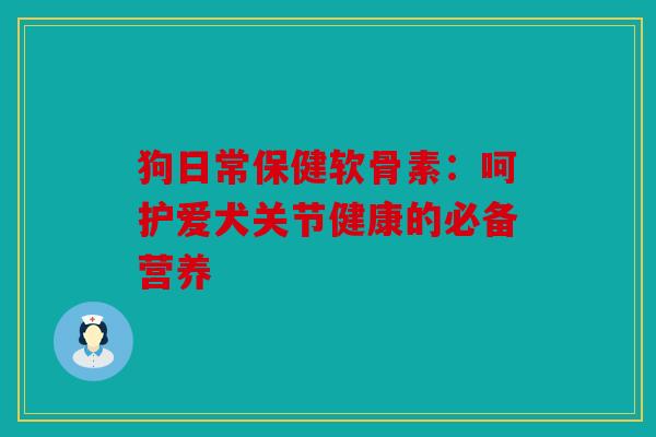 狗日常保健软骨素：呵护爱犬关节健康的必备营养