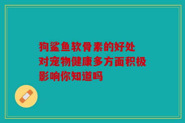 狗鲨鱼软骨素的好处 对宠物健康多方面积极影响你知道吗