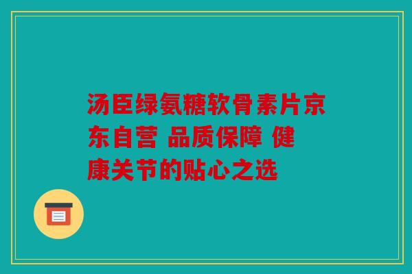 汤臣绿氨糖软骨素片京东自营 品质保障 健康关节的贴心之选