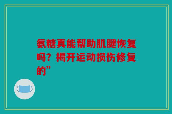 氨糖真能帮助肌腱恢复吗？揭开运动损伤修复的”