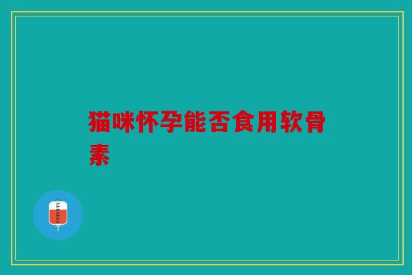 猫咪怀孕能否食用软骨素