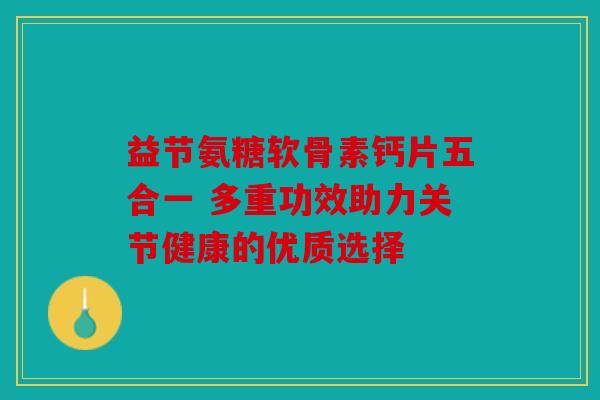 益节氨糖软骨素钙片五合一 多重功效助力关节健康的优质选择