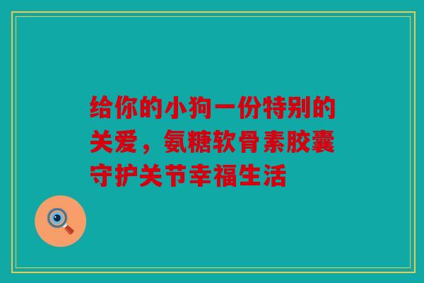 给你的小狗一份特别的关爱，氨糖软骨素胶囊守护关节幸福生活
