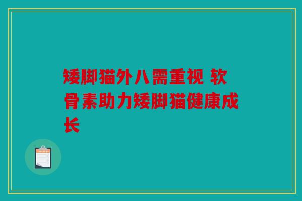矮脚猫外八需重视 软骨素助力矮脚猫健康成长