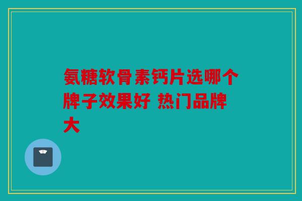 氨糖软骨素钙片选哪个牌子效果好 热门品牌大
