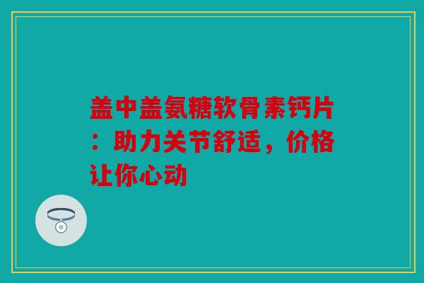 盖中盖氨糖软骨素钙片：助力关节舒适，价格让你心动