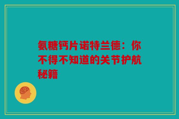 氨糖钙片诺特兰德：你不得不知道的关节护航秘籍