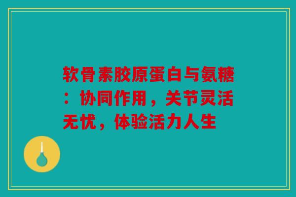 软骨素胶原蛋白与氨糖：协同作用，关节灵活无忧，体验活力人生