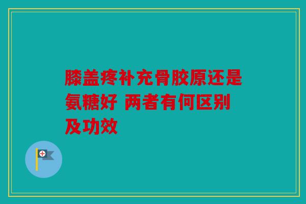 膝盖疼补充骨胶原还是氨糖好 两者有何区别及功效